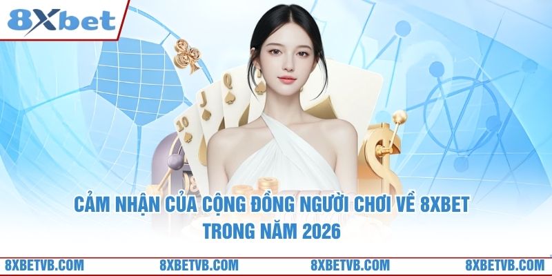 Cảm nhận của cộng đồng người chơi về 8xbet trong năm 2026